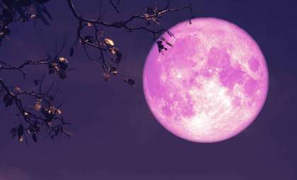 April’s Enchanting Full Pink Moon Illuminates the Night Sky Across America