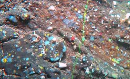 Sunken Seamount Off Canary Islands Sheds Light on Atlantis Myth