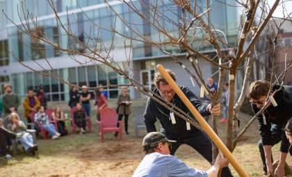 Philadelphia’s Botanical Marvel: The Multifruit Tree Bridging Art and Science