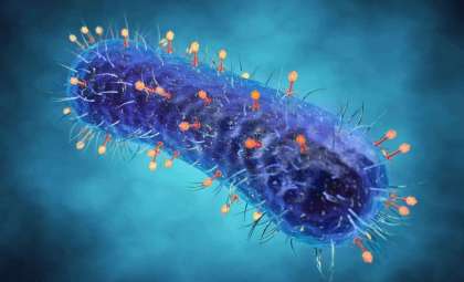 Bacteria May Have Started Using Oxygen Nearly a Billion Years Earlier Than Known