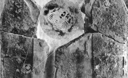 Ancient Footprint in 500-Million-Year-Old Rock Sparks Controversy Over Human History