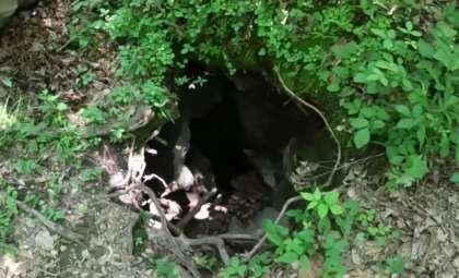 Explorers Descend Into a 220-Foot Abyss — What They Found Will Astonish You