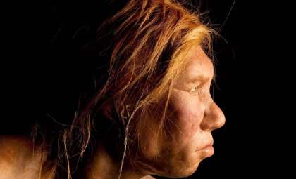 Exploring Why Human and Neanderthal Faces Diverged—A Factor in Our Survival?