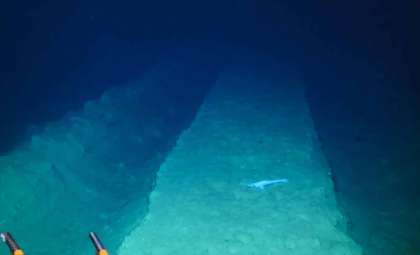 Nearly Half a Century Later: Unveiling the Enduring Effects of a 1979 Deep-Sea Mining Trial in the Pacific