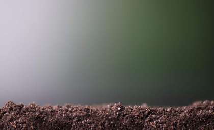 Scientists Reveal a New Microbial Phylum Hidden Beneath Earth's Surface