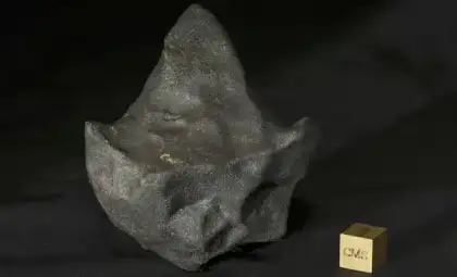Decoding the Journey of Costa Rica’s Rare Water-Rich Meteorite