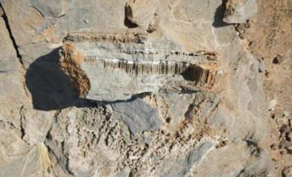 Ancient Micro-Tunnels Discovered in African Rocks Hint at Hidden Lifeforms