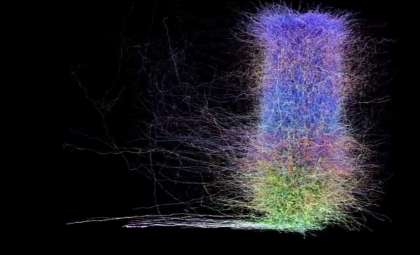 Revolutionary Mouse Brain Map Reveals Galactic-Level Neural Complexity