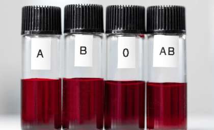 Scientists Uncover a Rare Blood Group Hidden for Over Five Decades