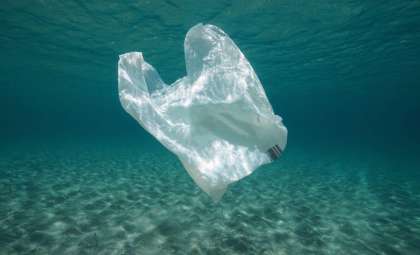 Innovative Plant-Based Material Promises to Eliminate Plastic Waste