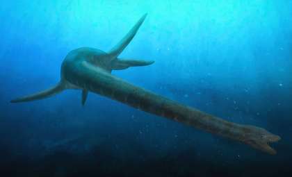 Newly Found 180-Million-Year-Old Fossil Illuminates Early Plesiosaur Evolution