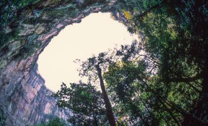 China’s 630-Foot Sinkhole Unveils Ancient Ecosystem From Dinosaur Era