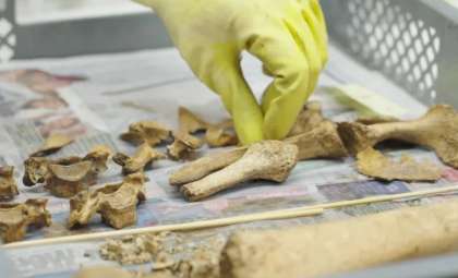 Unearthing a 2,000-Year-Old Roman Soldier Burial Site in Vienna