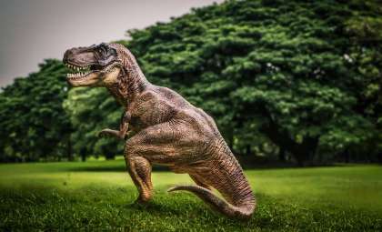 Teenage T. Rex Fossil Unearthed by Three Boys During North Dakota Hike