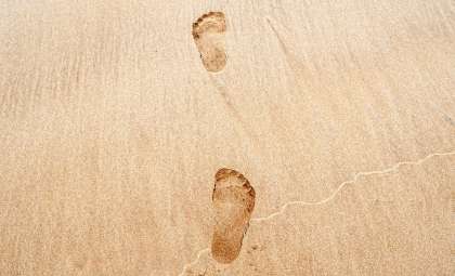 115,000-Year-Old Human Footprints Discovered in Saudi Arabia's Desert