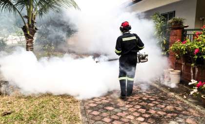 Emerging Tropical Virus Surges in Latin America, Raising Global Health Alarms