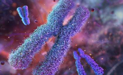 Unlocking Lifespan Secrets from Birth: The Telomere Connection