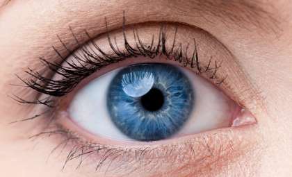 Tracing Blue Eyes Back to a Single Ancient Ancestor