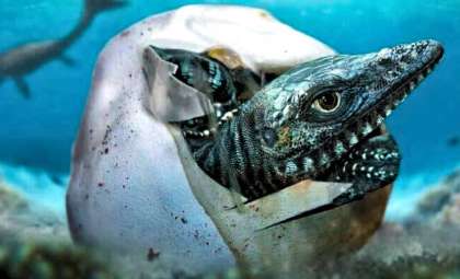 Antarctica’s Gigantic Soft-Shelled Egg Discovery Redefines Marine Reptile Reproduction