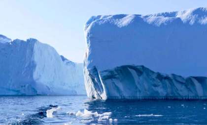Unprecedented Live Footage of Elusive Antarctic Squid Captured Following Iceberg Calving
