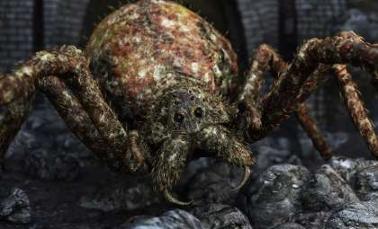 Discovery of Gigantic Jurassic Spiders Sheds Light on Arachnid Evolution