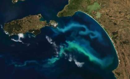 Massive Bioluminescent Phytoplankton Bloom Detected Off Southern Australia by NASA Satellites