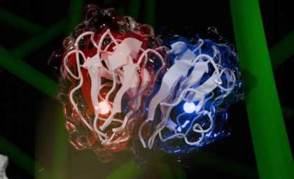 Revolutionary Enzyme Discovery Paves Way for Enhanced Biofuel Production Worldwide
