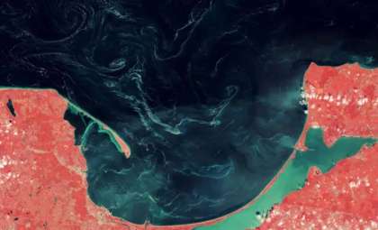 Satellite Data Reveals Unexpected Pine Pollen Swirls in the Baltic Sea