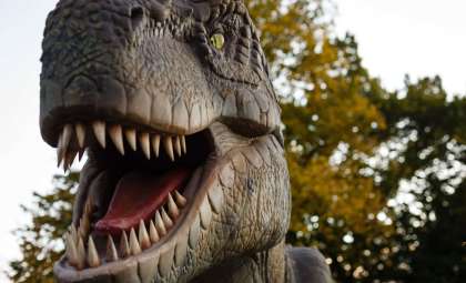 New Study Unveils the Ancestral Origins of T. Rex Across Asia and North America