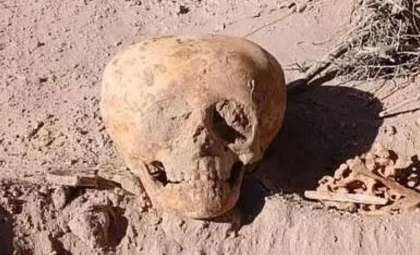 Unusual Skull Found in Argentina Challenges Understanding of Ancient Cultures
