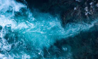 The Disappearing Sargasso Sea: An Overlooked Oceanic Treasure at Risk