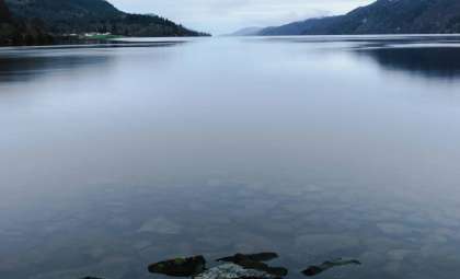 New Video Capture Sparks Debate Over Possible Loch Ness Baby Monster