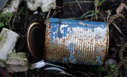 Decades-Old Salmon Cans Reveal Surprising Insights Into Ocean Ecosystems