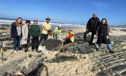 Uncovering a 190-Million-Year-Old Dinosaur Fossil on Portugal’s Coastline