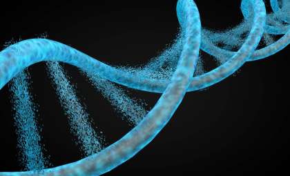 6,000-Year-Old Human Bones Unearth a Genetic Enigma in South America