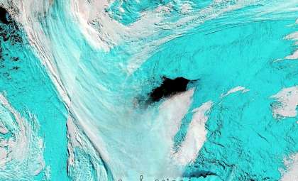 Unraveling the Giant Antarctic Sea Ice Gap: What Caused the Maud Rise Polynya?