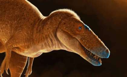 Newly Discovered Tyrannosaur Sheds Light on Evolutionary Link to T. rex