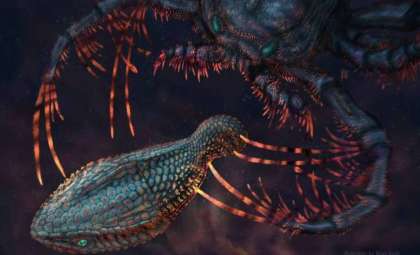 Unveiling Ancient Fish's Sensory 'Teeth' and Their True Function