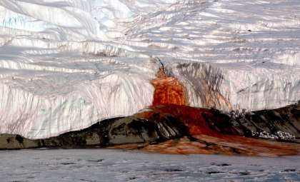 Researchers Uncover the Secrets Behind Antarctica’s Crimson Waterfall