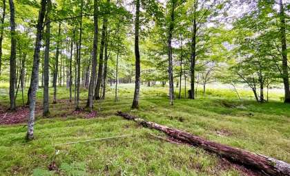 Vast 1,000-Year-Old Indigenous Farming Complex Discovered in Northern Michigan Alters Early Agriculture History