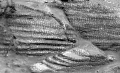 Curiosity Rover Finds an Ideal Spot on Mars and Unlocks New Geological Insights