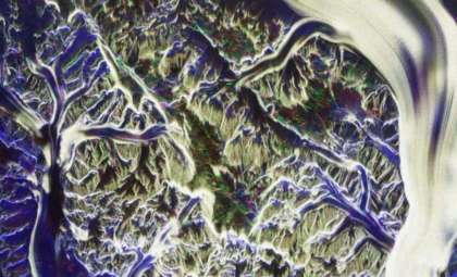 ESA’s Biomass Satellite Unveils Stunning First Images of Pristine Ecosystems