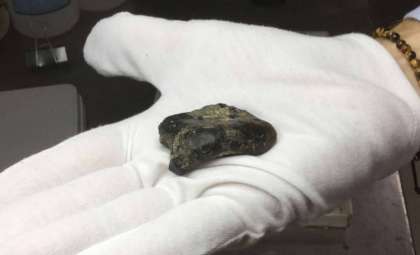 Historic Discovery: First Hominin Fossils Unearthed Beneath Sundaland’s Ancient Seas
