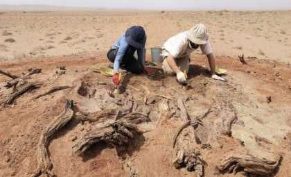 New Research Unveils the True Role of the Gobi Wall in Ancient Mongolia