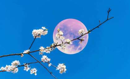 June 2025’s Full Moon to Appear at Its Lowest in Decades: A Rare Astronomical Phenomenon