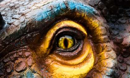 Unveiling ‘Khankhuuluu’: The Ancestor Who Forged the Tyrannosaur Legacy