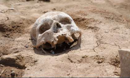 Students Solve 180-Year-Old Maritime Mystery with Skull Found in New Jersey