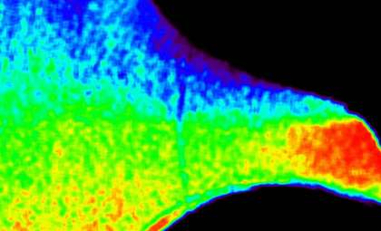 NASA’s CODEX Reveals New Insights into the Sun’s Explosive Outer Layer