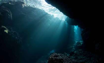 New Deep-Sea Predator Discovered in Ocean’s Most Mysterious Abyss
