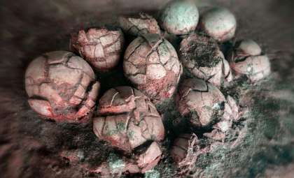 Discovery of Six Different Dinosaur Egg Types Unearthed Together
